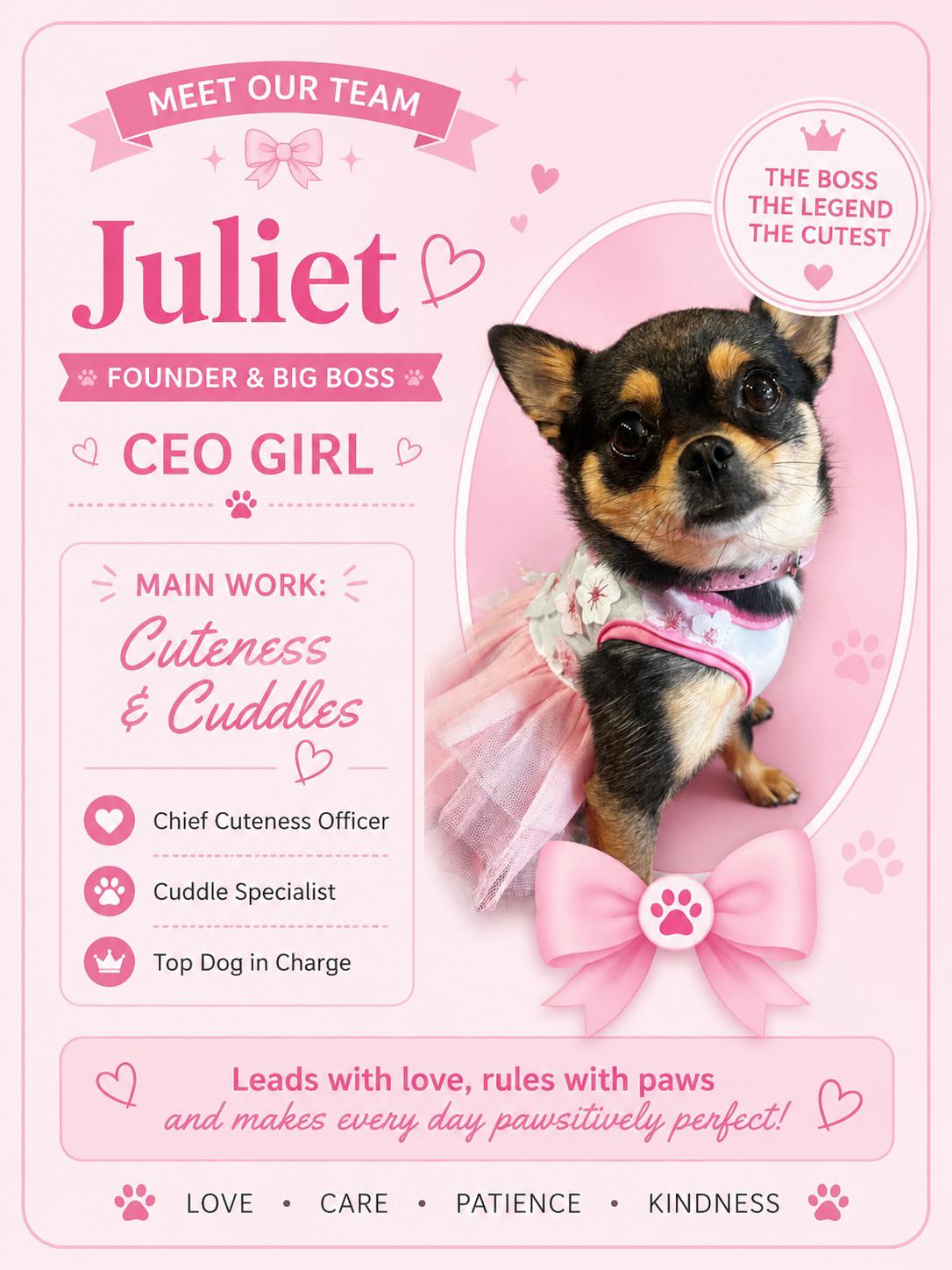 Juliet, our CEO girl and Chief Cuteness Officer at Pink Dog